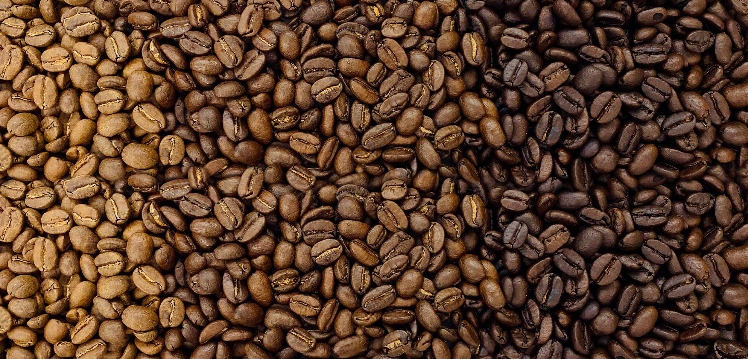 Light, medium, and dark roast coffee beans in three bowls side by side